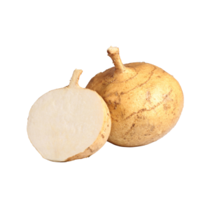 Jicama