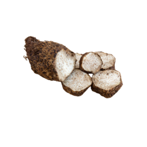 Malanga