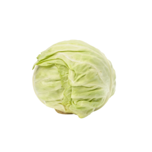 Repollo