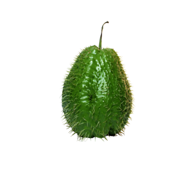 Chayote con espina